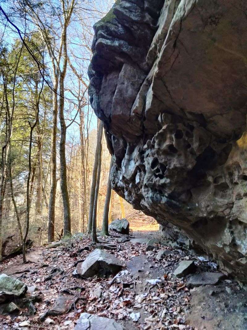 The Trail That Made It Famous The Trail That Made It Famous