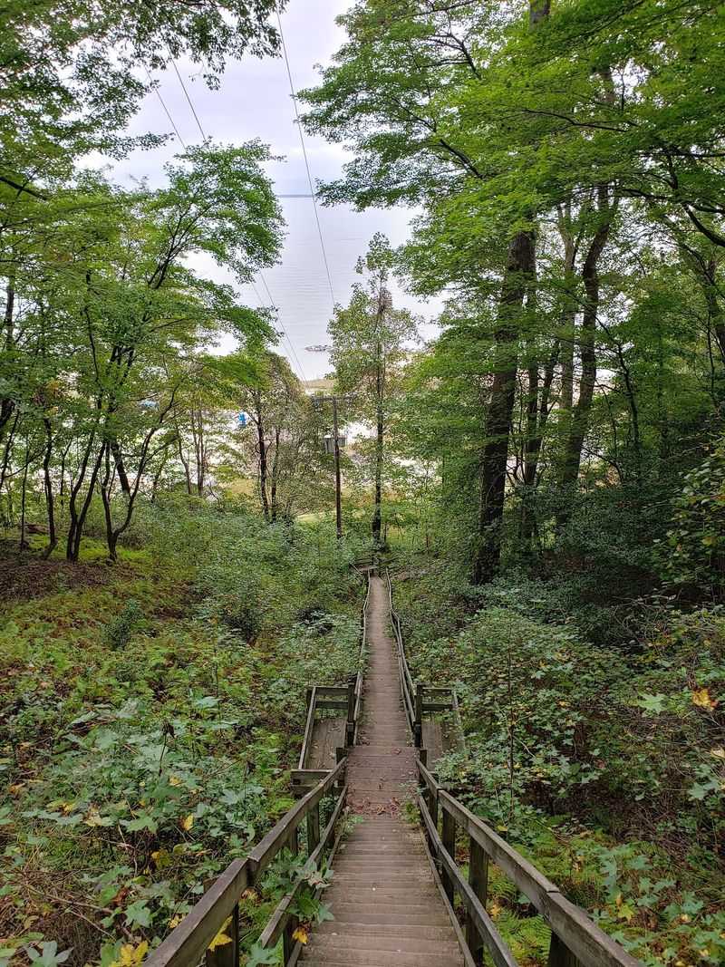 The Trail That Takes You There
