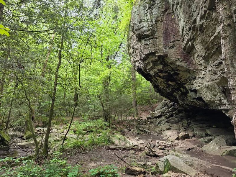 The Trail That Tests Your Footing