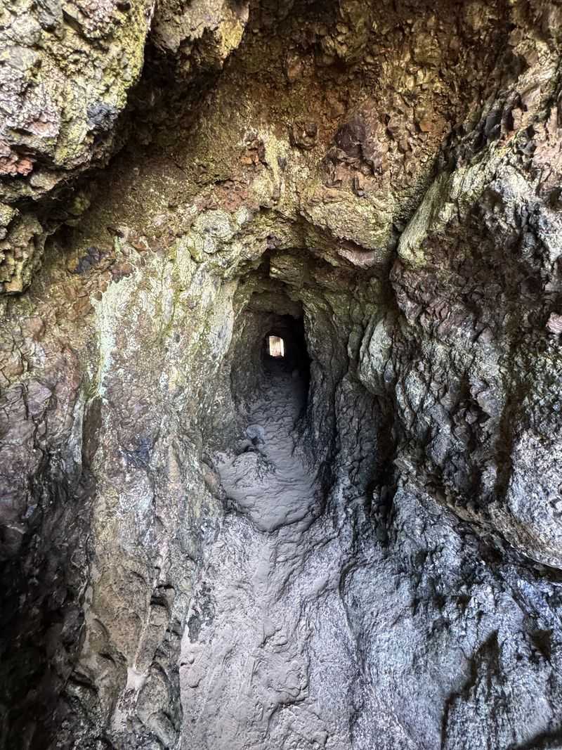 The Tunnel Itself: What to Expect Before You Step Inside