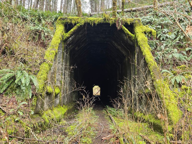 The Tunnels: A Highlight No One Expects The Tunnels: A Highlight No One Expects