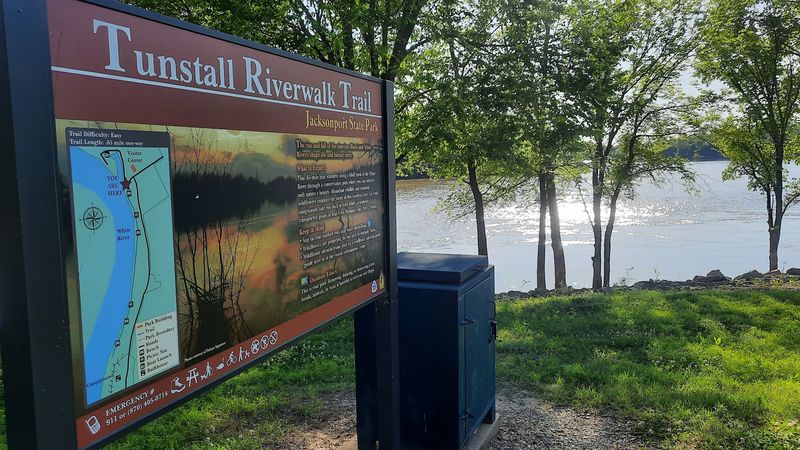 The Tunstall Riverwalk Trail: Wildflowers and Woodpeckers
