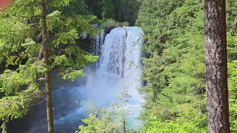 The Two Stars of the Show: Sahalie and Koosah Falls The Two Stars of the Show: Sahalie and Koosah Falls