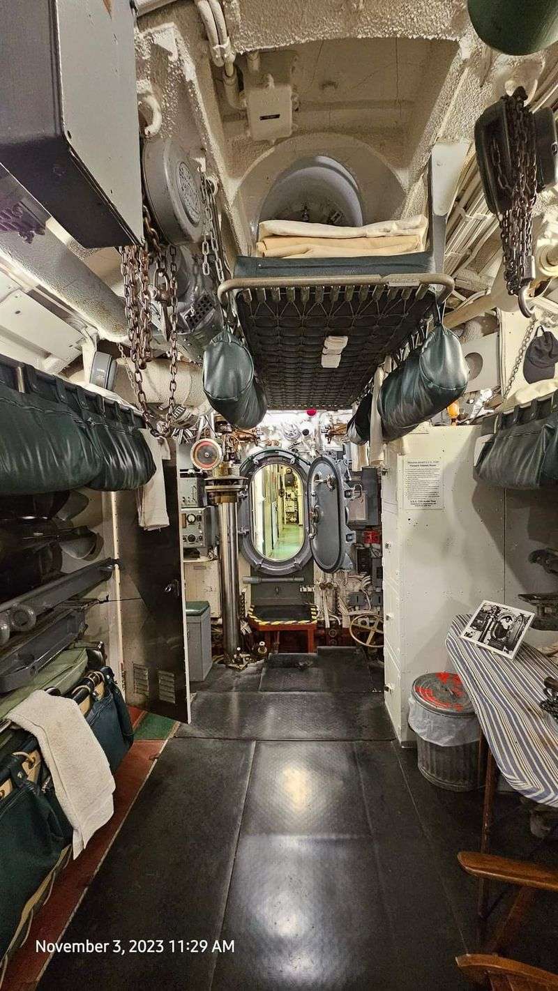 The Uncut Hull That Makes Cod Different The Uncut Hull That Makes Cod Different