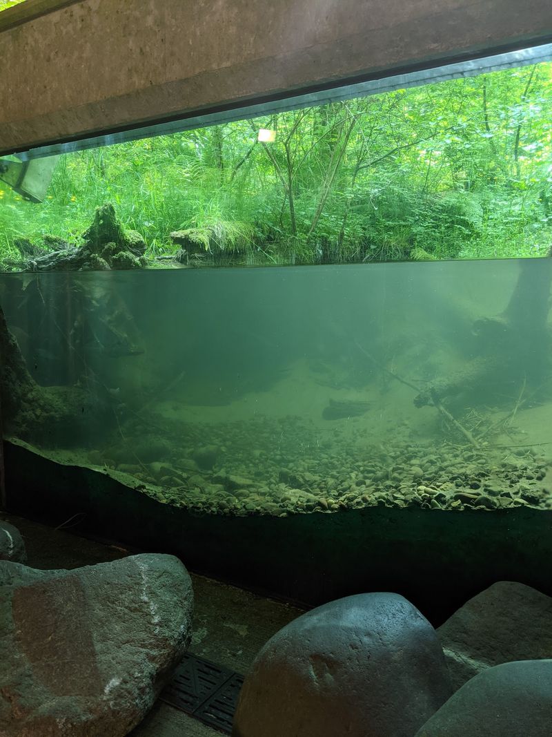 The Underwater Viewing Chamber That Started It All The Underwater Viewing Chamber That Started It All