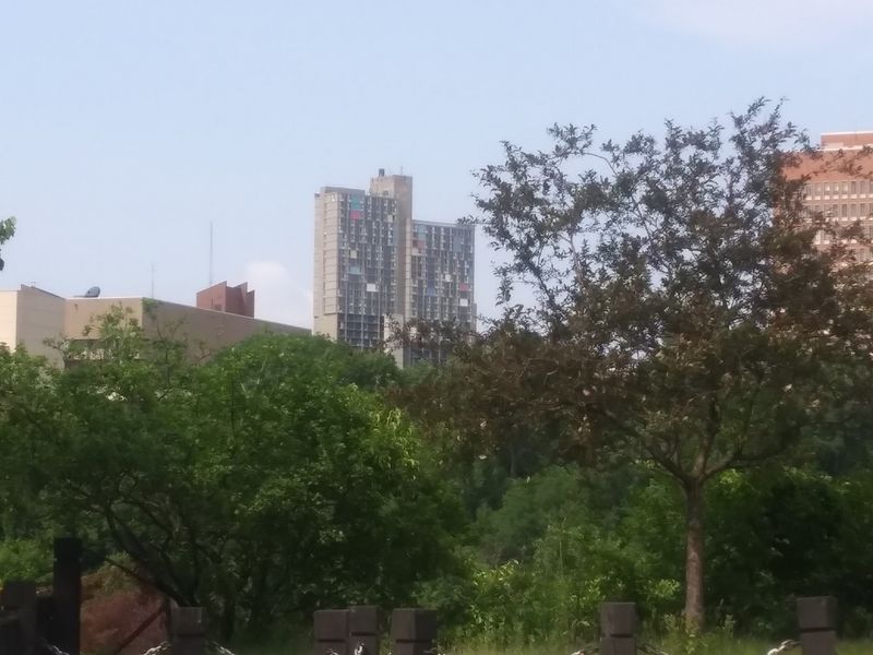 The University of Minnesota's Presence Next Door