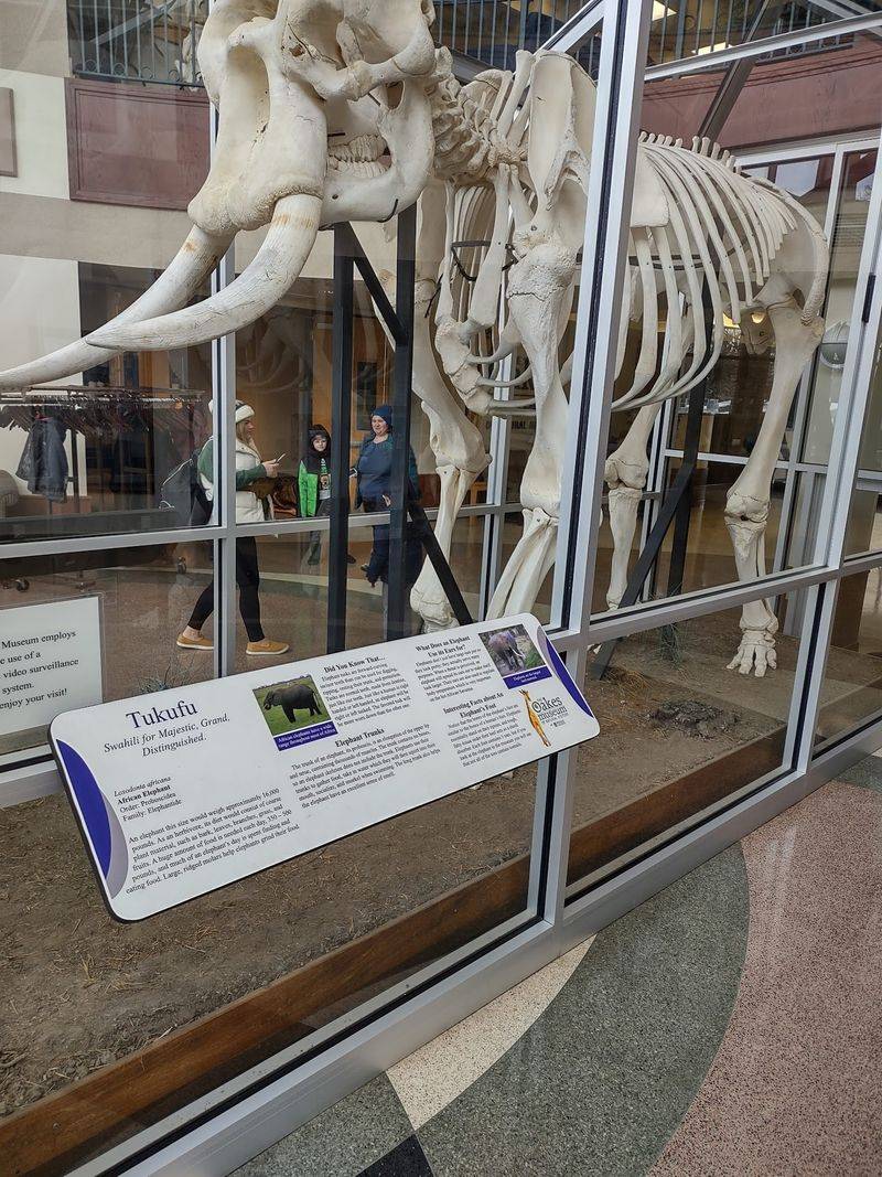 The Unlikely Origin Story Behind a Remarkable Collection The Unlikely Origin Story Behind a Remarkable Collection