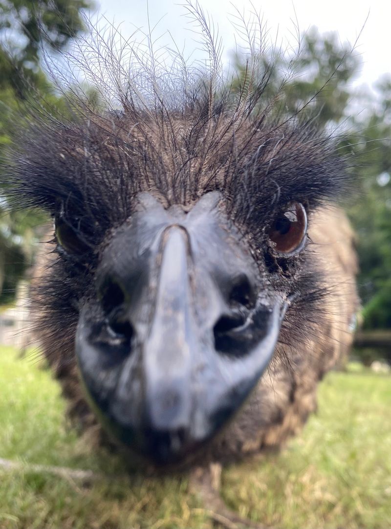 The Up-Close Encounter Experience The Up-Close Encounter Experience
