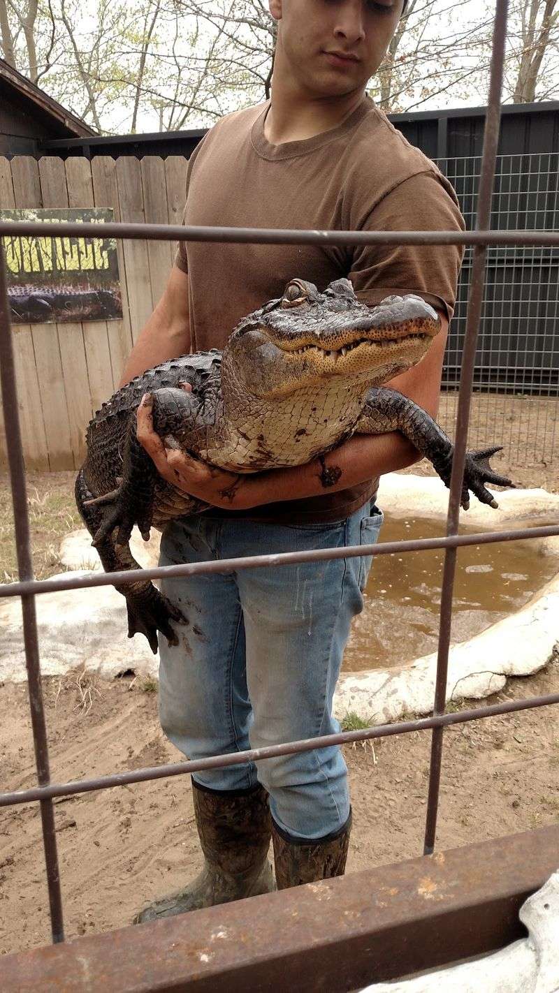 The VIP Experience That Lets You Hold the Animals The VIP Experience That Lets You Hold the Animals