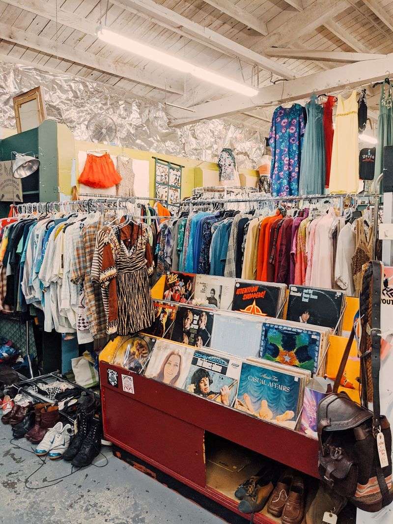The Vendor Model and How It Shapes Your Visit