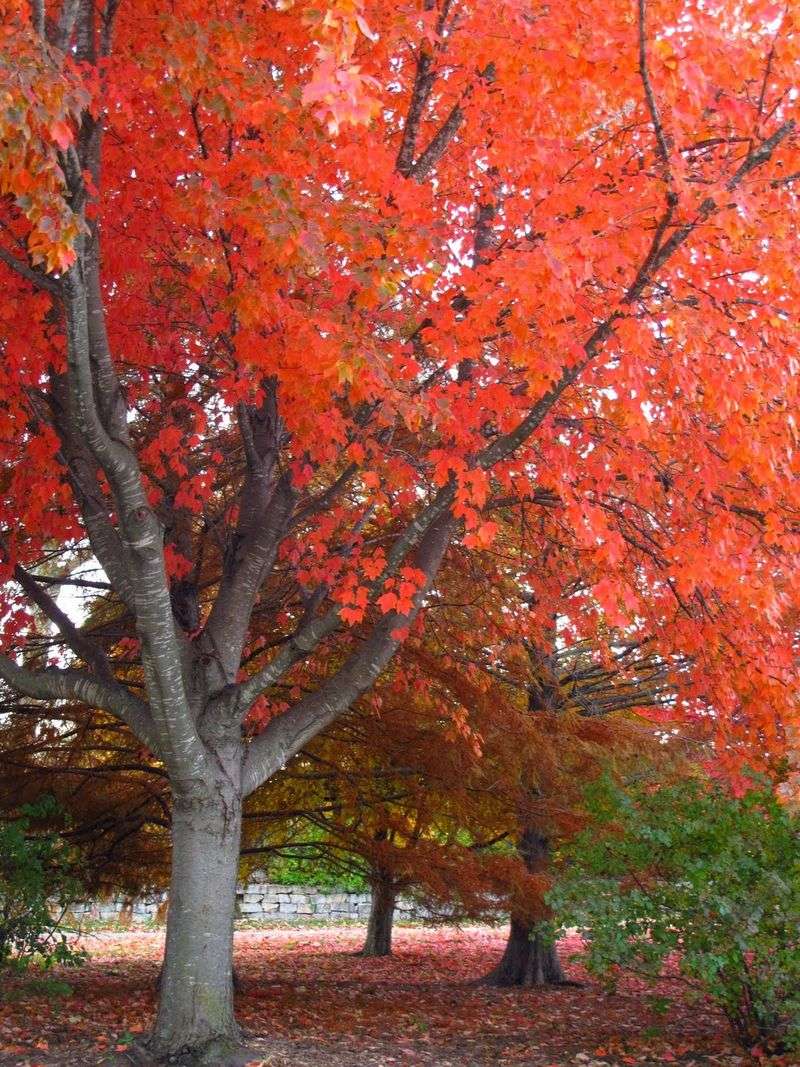 The Victorian Garden That Changes With Every Season The Victorian Garden That Changes With Every Season