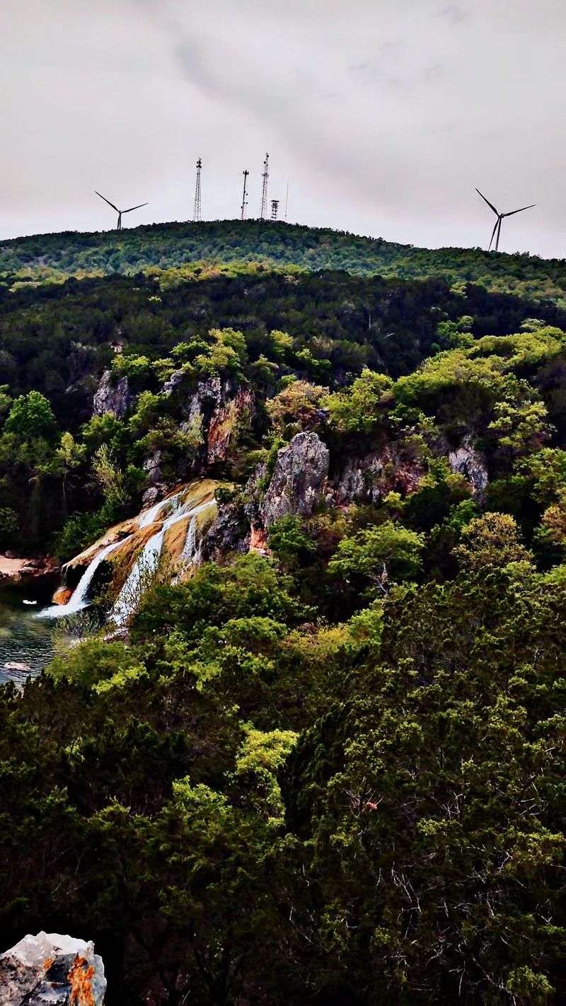 The View From the Lookout