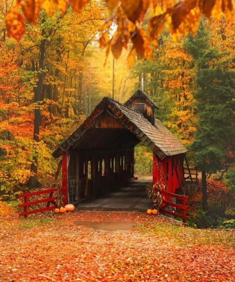 The Village of Lake Ann: Small Town, Big Charm