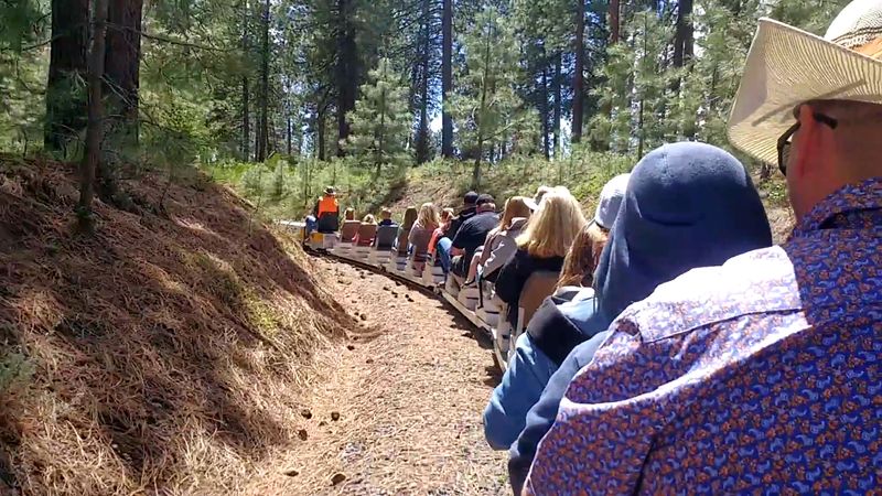 The Volunteer Community That Keeps It All Running