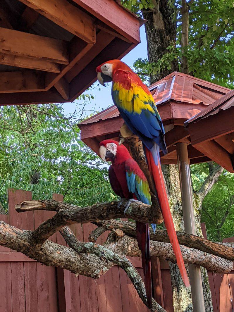 The Walk-Through Aviary That Puts Birds Right in Your Hands The Walk-Through Aviary That Puts Birds Right in Your Hands