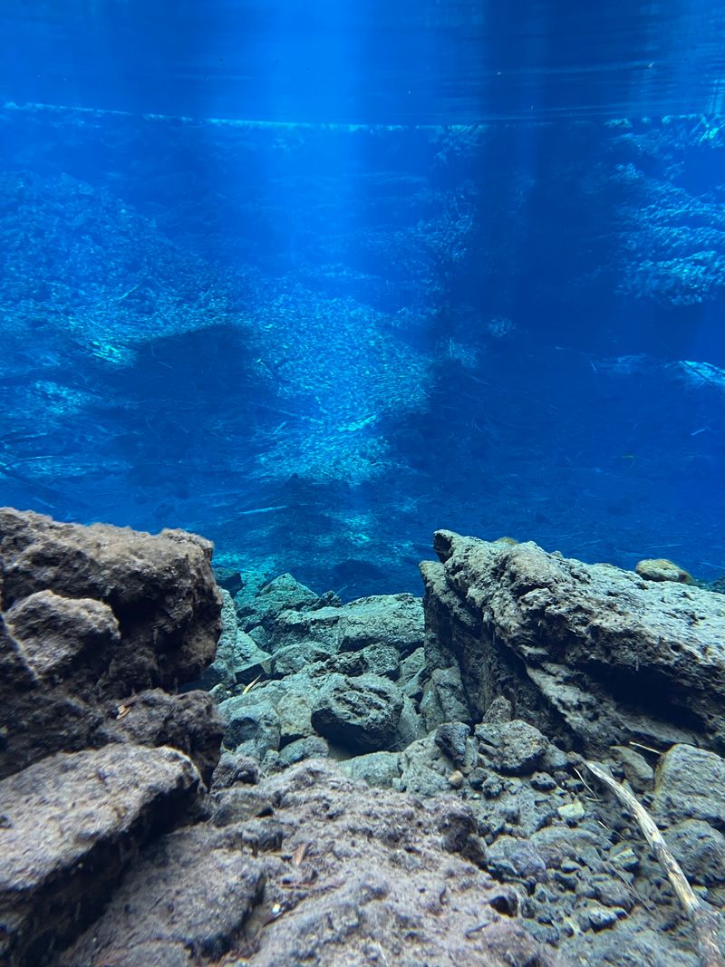 The Water Itself: Cold, Clear, and Completely Unforgettable The Water Itself: Cold, Clear, and Completely Unforgettable
