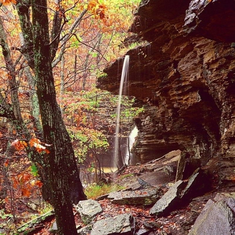 The Waterfall Hidden Inside the Park The Waterfall Hidden Inside the Park