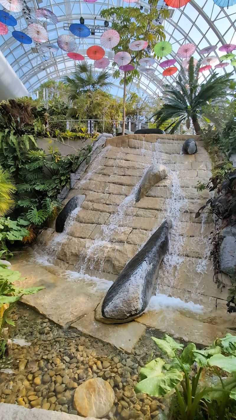 The Waterfall Inside the Greenhouse