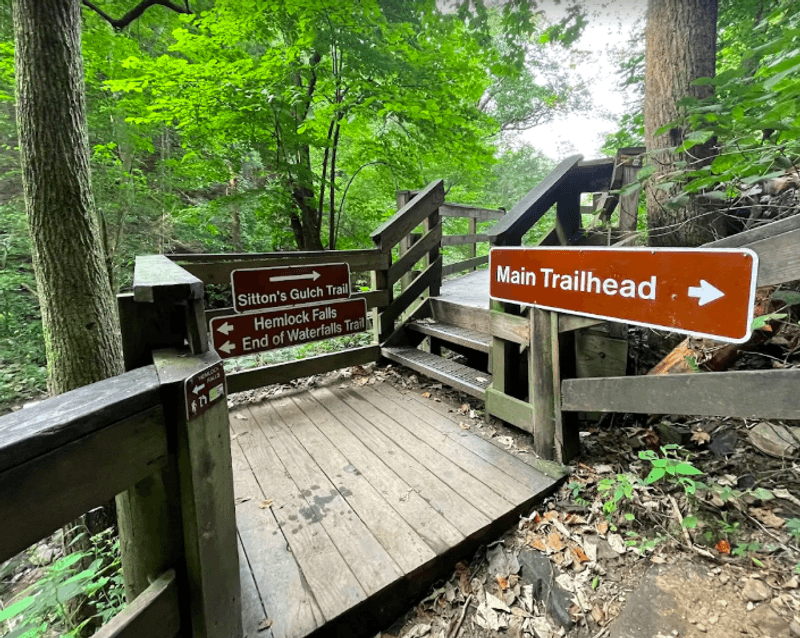 The Waterfall Trail and What to Expect The Waterfall Trail and What to Expect