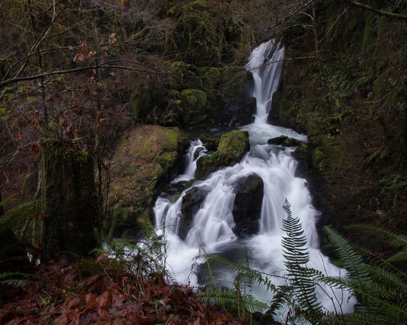 The Waterfalls: From Trickles to the Main Drop The Waterfalls: From Trickles to the Main Drop