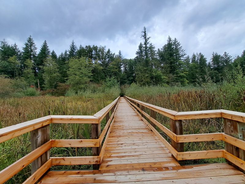 The Wetlands Trail and Its Boardwalk The Wetlands Trail and Its Boardwalk