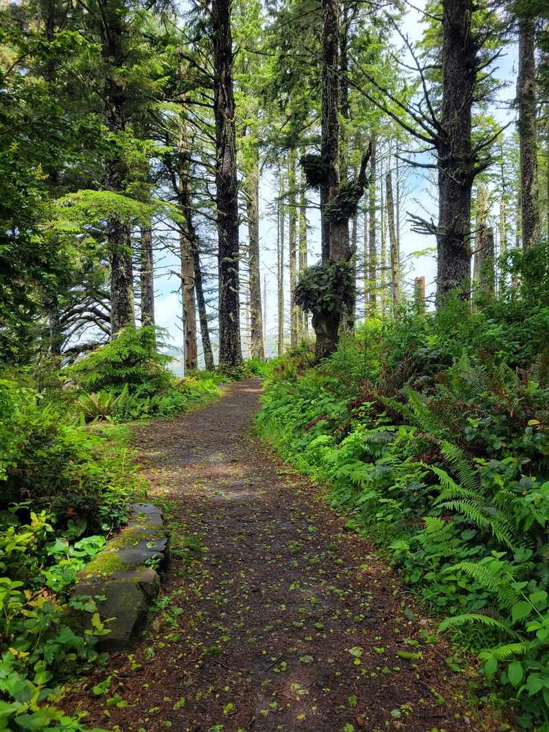 The Whispering Spruce Trail The Whispering Spruce Trail