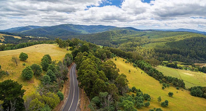 The Winding Road That Earns the View