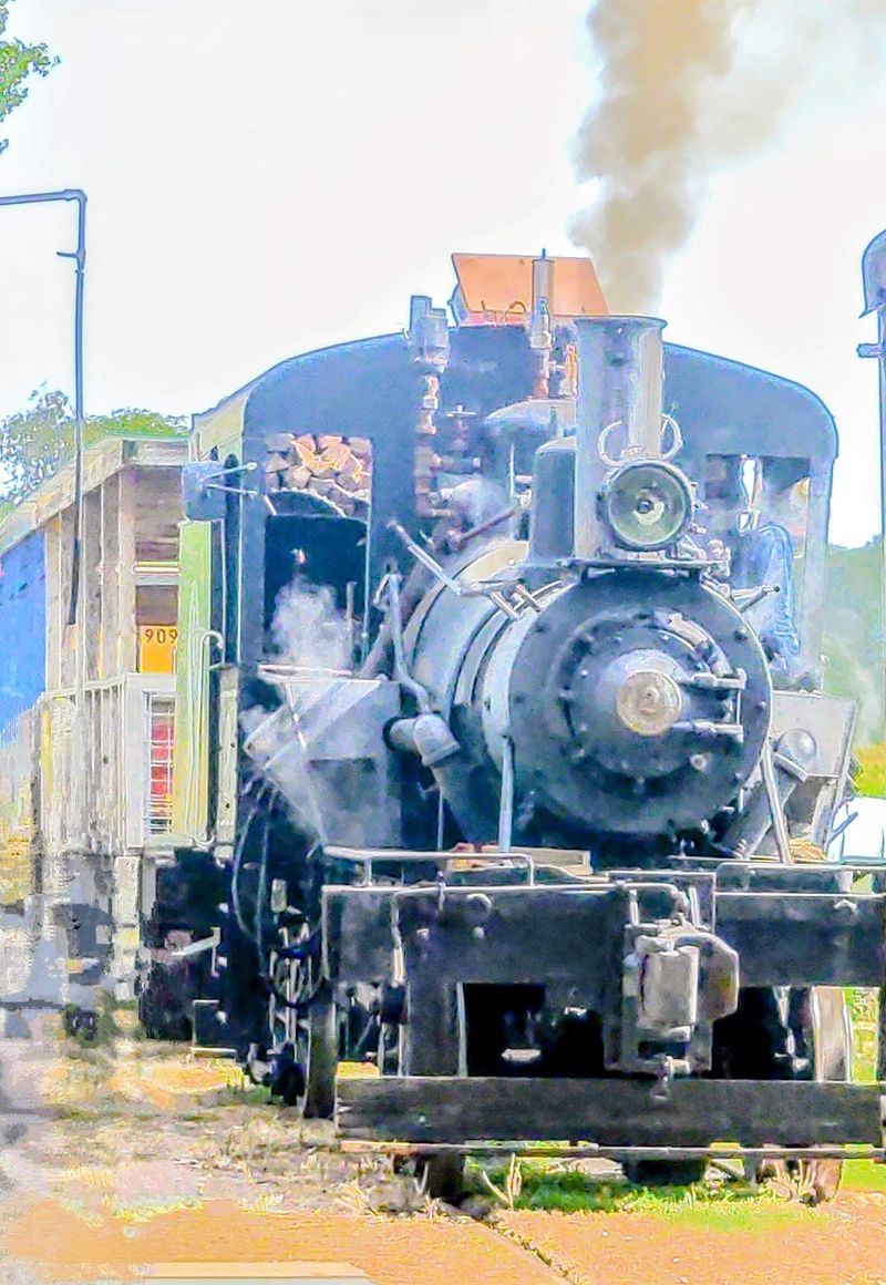 The Wood-Fired Locomotive That Steals the Show The Wood-Fired Locomotive That Steals the Show
