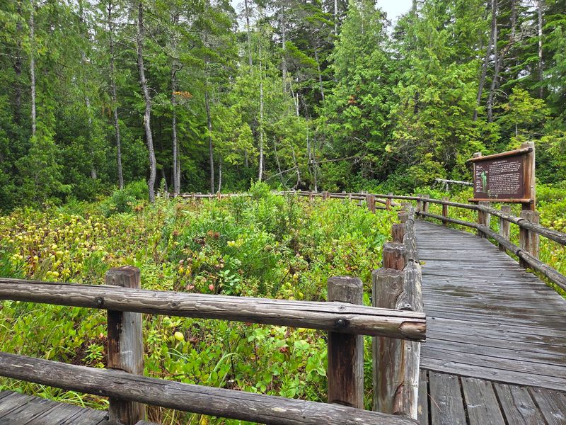 The Wooden Boardwalk Experience The Wooden Boardwalk Experience