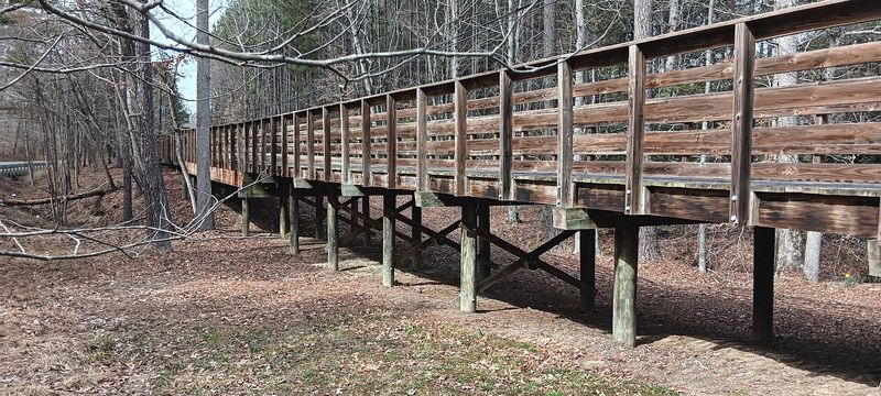 The Wooden Bridges That Define the Experience