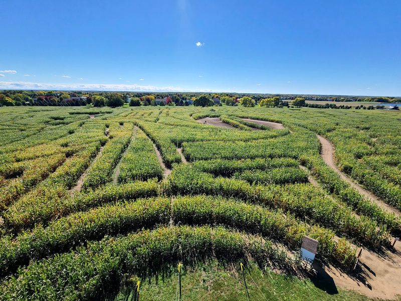 The World Record Corn Maze That Started It All
