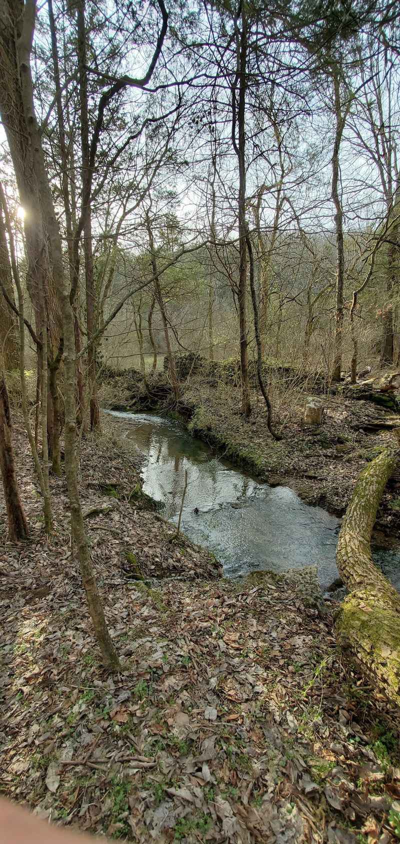 The Yellow Trail and Its Creek Views The Yellow Trail and Its Creek Views