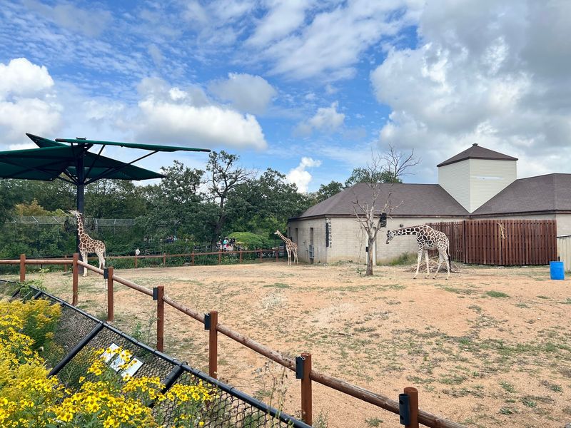 The Zoo Layout and How Long You Actually Need to See Everything The Zoo Layout and How Long You Actually Need to See Everything