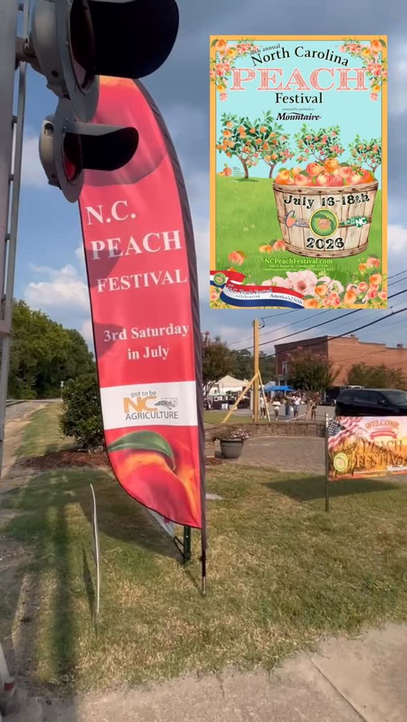 Three Days, Three Different Festival Rhythms Three Days, Three Different Festival Rhythms