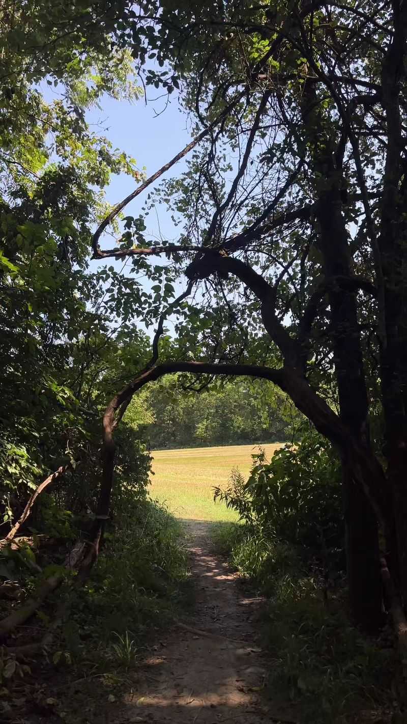 Three Ecosystems in Two Miles: The Habitat Variety Three Ecosystems in Two Miles: The Habitat Variety
