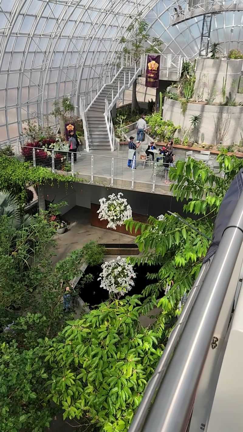 Three Floors of Tropical Plants and a Catwalk Above the Canopy