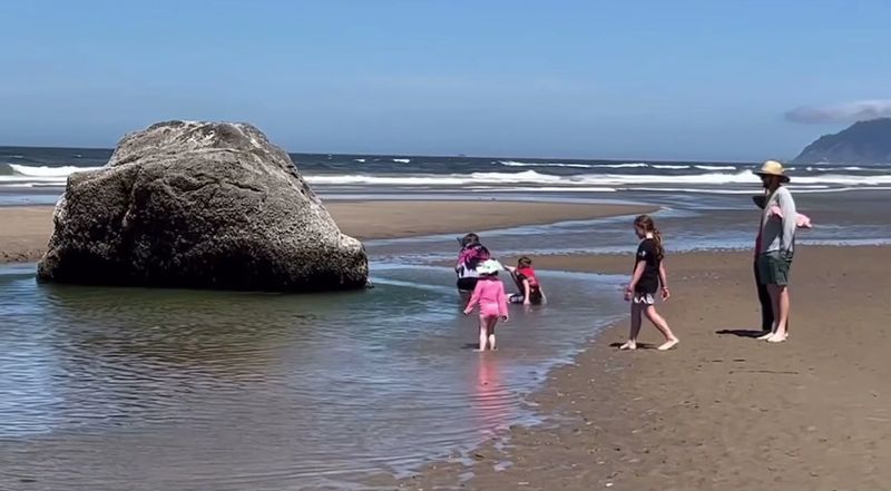 Tide Pools Full of Life Worth Slowing Down For