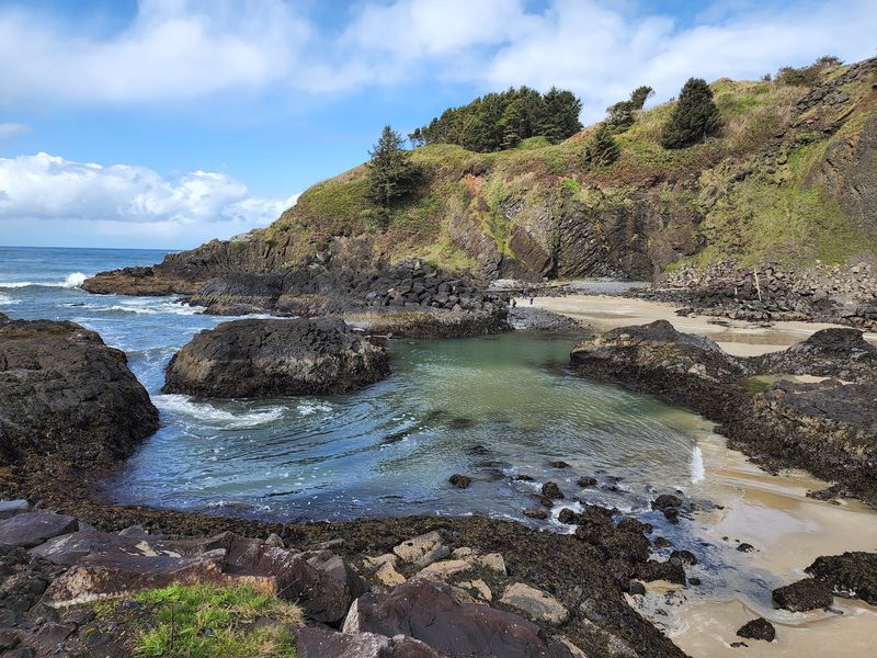 Tide Pools Packed With Intertidal Life Tide Pools Packed With Intertidal Life