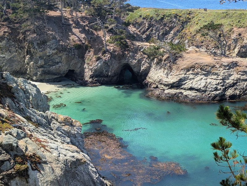 Tide Pools Where Little Explorers Rule