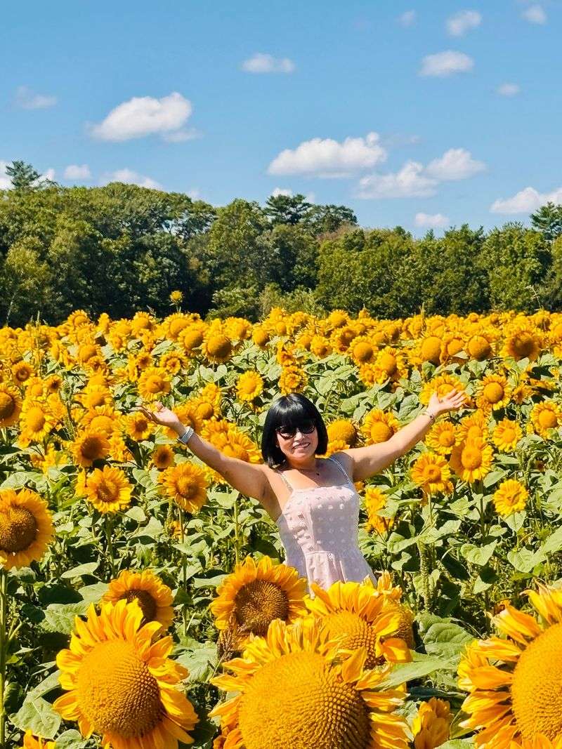 Timing Your Visit for Peak Bloom Timing Your Visit for Peak Bloom
