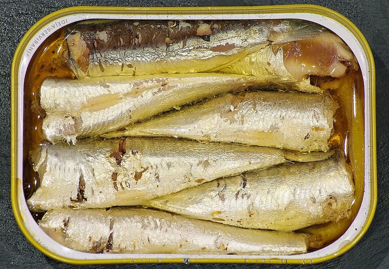 Tinned and Conserved Seafood Tinned and Conserved Seafood