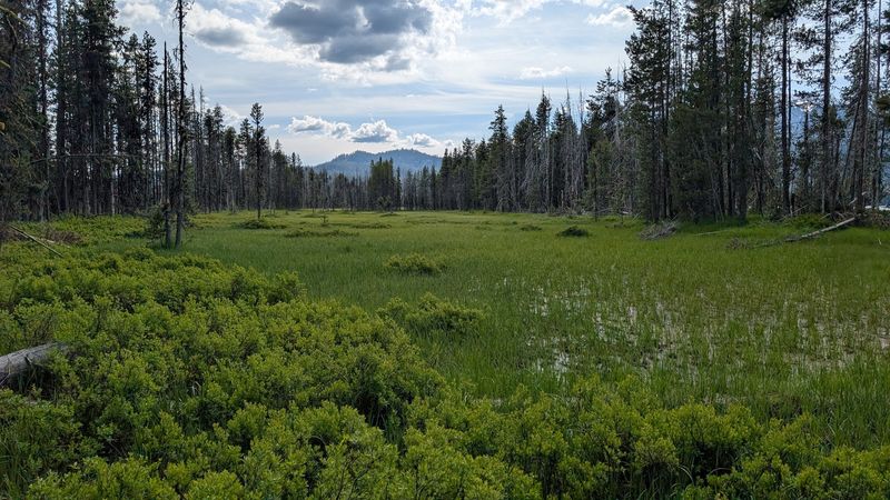 Tips for Hiking the Full Loop: Gear, Pacing, and What to Bring
