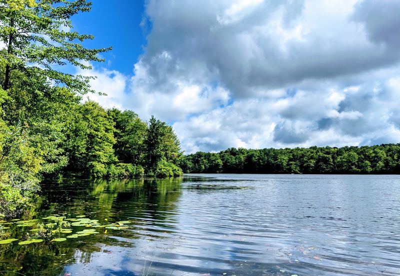 Tobyhanna Lake: The Heart of It All Tobyhanna Lake: The Heart of It All