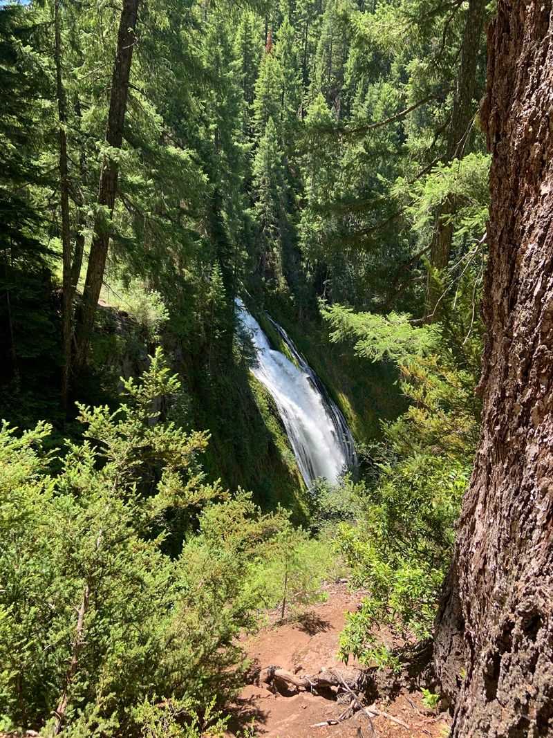 Toketee Falls: The Trail's Most Dramatic Stop