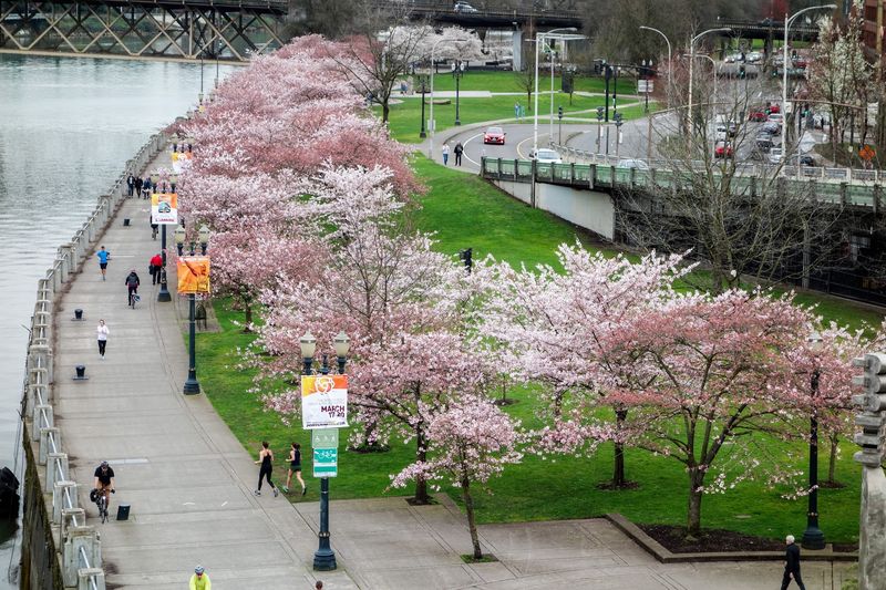 Tom McCall Waterfront Park, Portland, Oregon