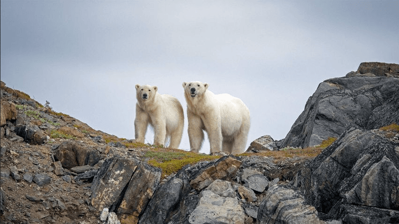 Torngat Mountains National Park, Newfoundland and Labrador