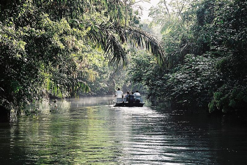 Tortuguero National Park, Tortuguero, Limón Province, Costa Rica