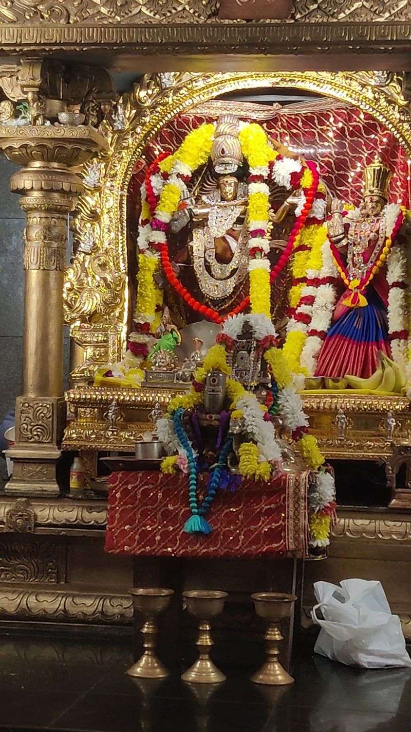 Traditional Poojas and Rituals Done Right Traditional Poojas and Rituals Done Right