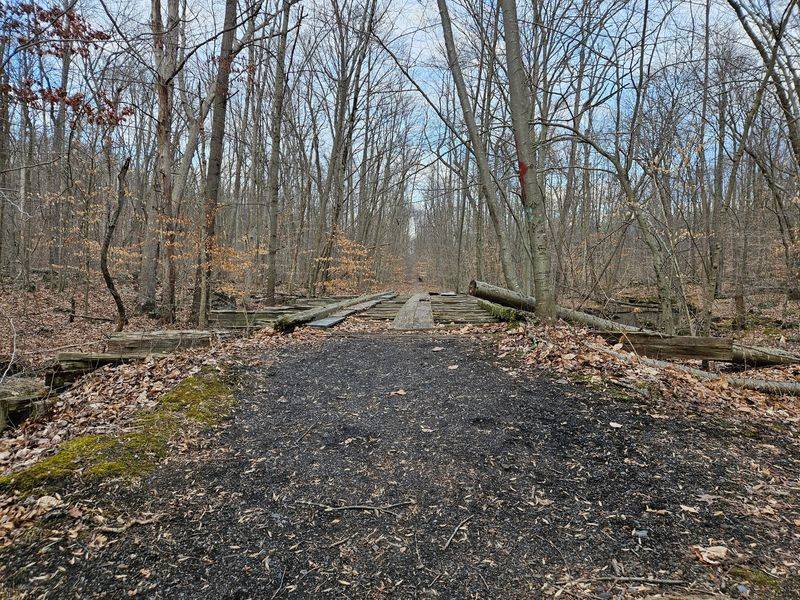 Trail Character: Rocky, Rewarding, and Refreshingly Honest Trail Character: Rocky, Rewarding, and Refreshingly Honest