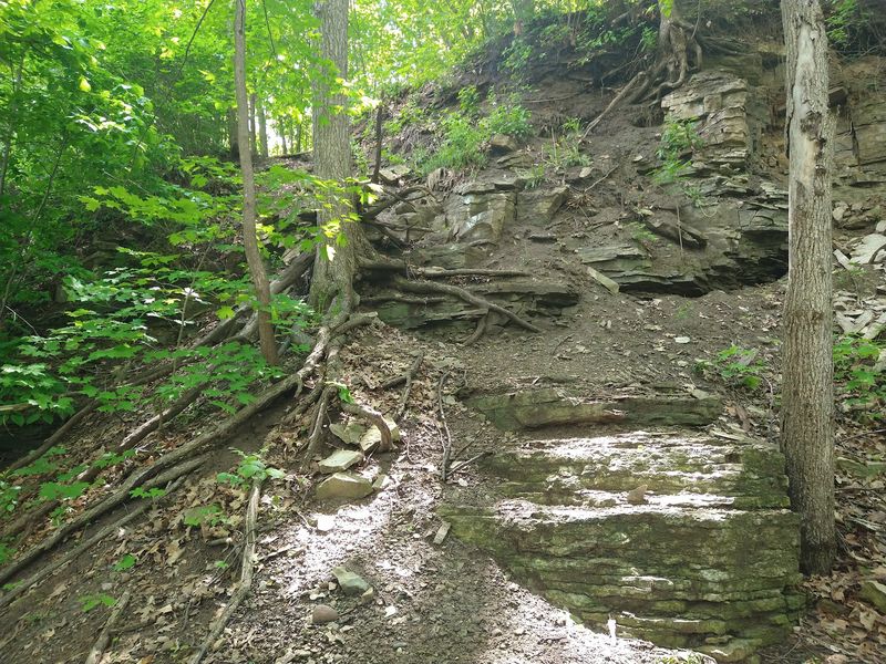 Trail Closures and What They Mean for Visitors Trail Closures and What They Mean for Visitors